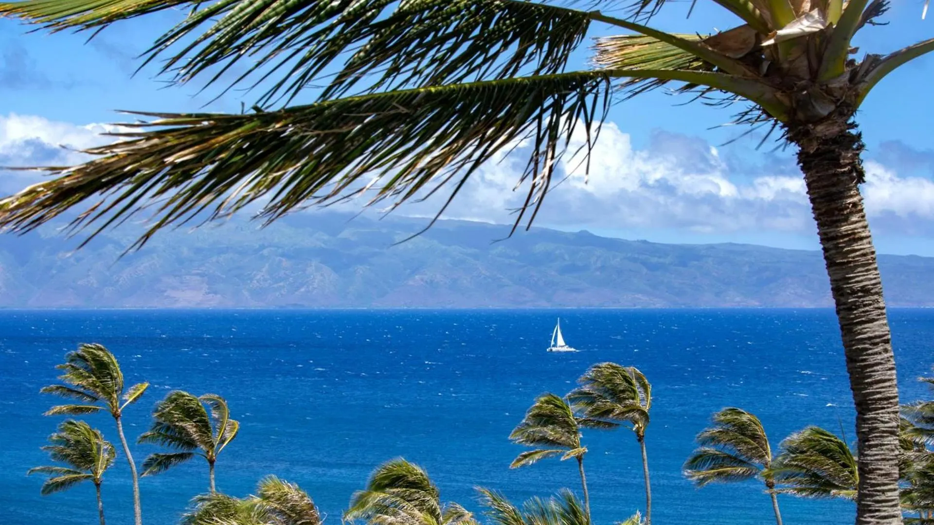 Kbm Resorts Free Car Hale Makaiatmontagekapalua Bay Beachfront Condo Apartment Kapalua